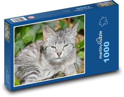 Cat  - Puzzle 1000 pieces, size 60x46 cm 