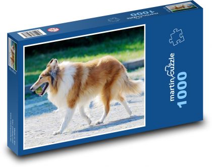 Langhaariger Collie - Puzzle - 1000 Teile
