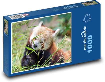 Kleiner Panda - Puzzle - 1000 Teile