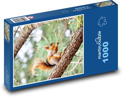 Wiewiórka drzewna - Puzzle 1000 elementów, rozmiar 60x46 cm
