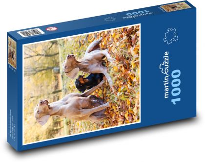 Weimarský stavač - Puzzle 1000 dielikov, rozmer 60x46 cm