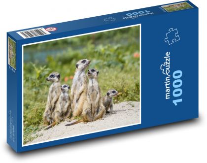 Herd of meerkats - Puzzle 1000 pieces, size 60x46 cm 