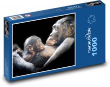 Šimpanz - máma a mládě Puzzle 1000 - 60x46 cm