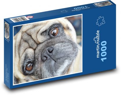 Mops - pies - Puzzle 1000 elementów, rozmiar 60x46 cm