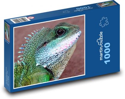 Jašterica - čínsky vodný drak - Puzzle 1000 dielikov, rozmer 60x46 cm