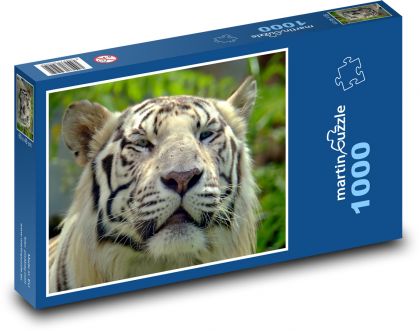 Bengálský tygr - puzzle 1000 dílků