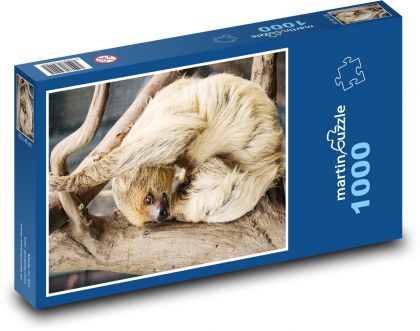 Lenochod  - puzzle 1000 dílků