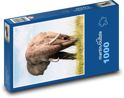 Elephant - Puzzle 1000 pieces, size 60x46 cm 