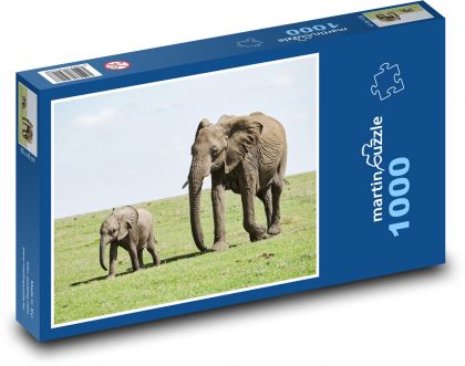Slon - mládě - puzzle 1000 dílků
