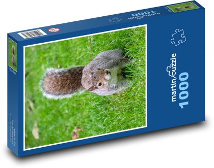 Squirrel - rodent - Puzzle 1000 pieces, size 60x46 cm 
