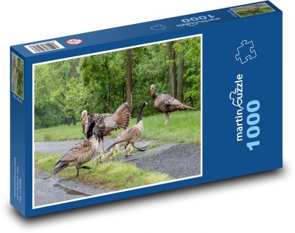 Truthahn - Ente - Puzzle - 1000 Teile