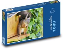 Veverka - hlodavec Puzzle 1000 - 60x46 cm