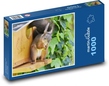 Eichhörnchen - Nagetier - Puzzle - 1000 Teile