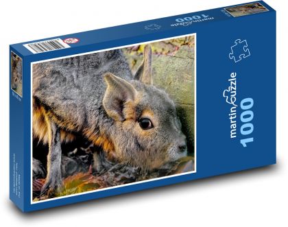 Steppe mara - hlodavec - Puzzle 1000 dielikov, rozmer 60x46 cm