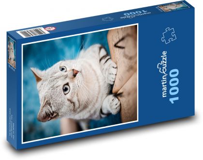 Mačka - domáce zviera - Puzzle 1000 dielikov, rozmer 60x46 cm