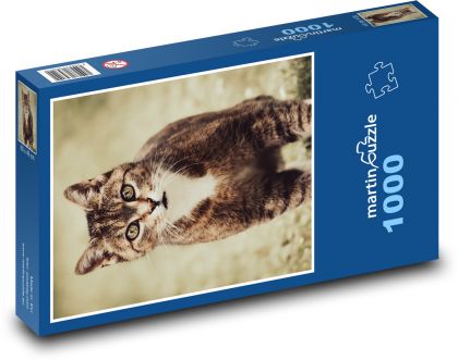 Kot - Puzzle 1000 elementów, rozmiar 60x46 cm