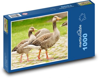 Divoké husy - puzzle 1000 dílků