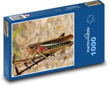Heuschrecken - Insekten Puzzle 1000 Teile - 60 x 46 cm
