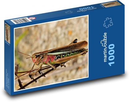 Heuschrecken - Insekten - Puzzle - 1000 Teile