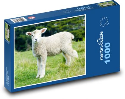 Jagnięcina - Owca - Puzzle 1000 elementów, rozmiar 60x46 cm