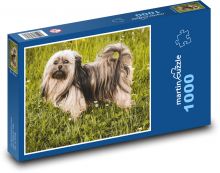 Pes - boloňka Puzzle 1000 - 60x46 cm