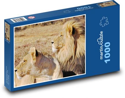 Lev a lvice - puzzle 1000 dílků