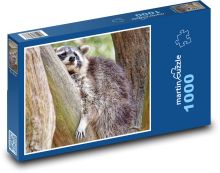 Mýval na stromě Puzzle 1000 - 60x46 cm