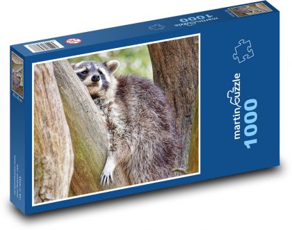 Waschbär im Baum - Puzzle - 1000 Teile