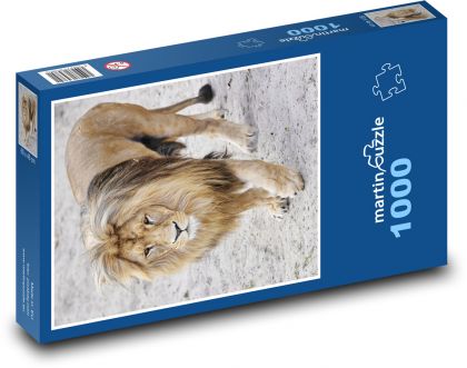 Lev - puzzle 1000 dílků