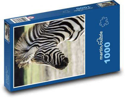 Zebra - Puzzle 1000 dielikov, rozmer 60x46 cm
