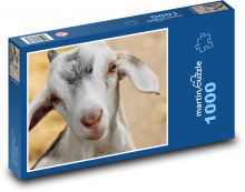 Koza domáca Puzzle 1000 dielikov - 60 x 46 cm