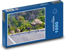 Pštros Emu s mláďaty Puzzle 1000 - 60x46 cm