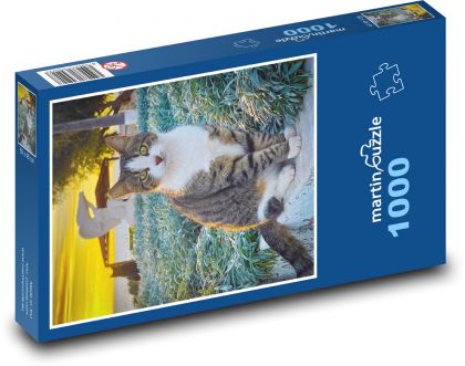 Cat top - Puzzle 1000 pieces, size 60x46 cm 