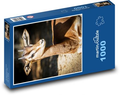 Gazelle - Puzzle 1000 pieces, size 60x46 cm 