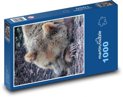 Spící medvěd - puzzle 1000 dílků