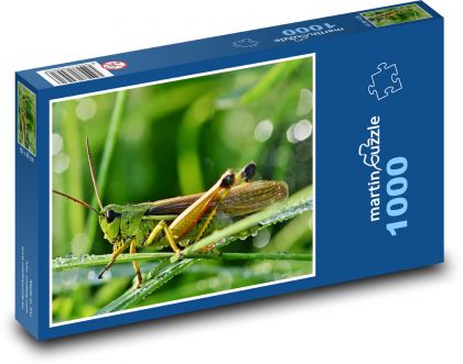 Insekten - Heuschrecken - Puzzle - 1000 Teile