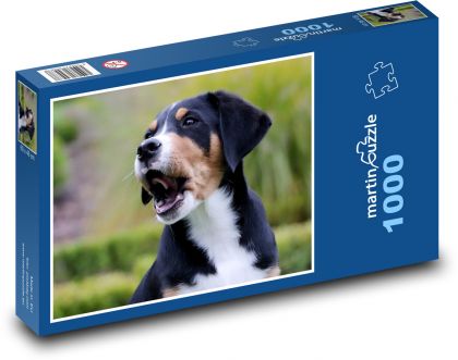 Pes - přítel - puzzle 1000 dílků