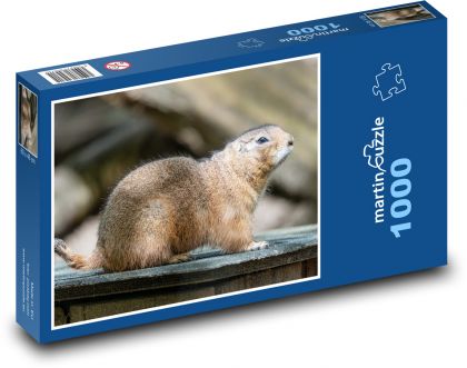 Prérijní pes - puzzle 1000 dílků