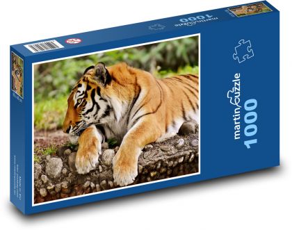 Tygr - velká kočka - puzzle 1000 dílků
