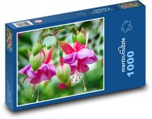 Fuchsie - květy Puzzle 1000 - 60x46 cm