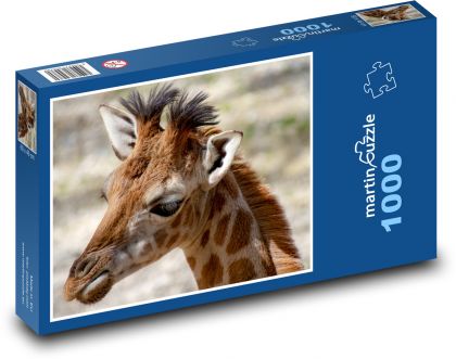 Žirafa - mláďa - Puzzle 1000 dielikov, rozmer 60x46 cm