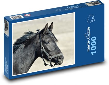 Na čiernom koni! - Puzzle 1000 dielikov, rozmer 60x46 cm
