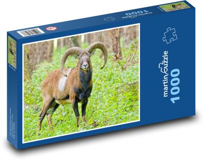 Muflón v lese - Puzzle 1000 dielikov, rozmer 60x46 cm