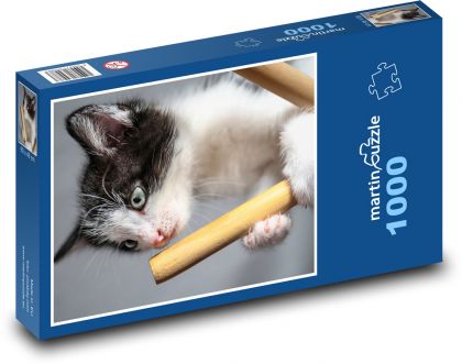 Kot - kotek - Puzzle 1000 elementów, rozmiar 60x46 cm