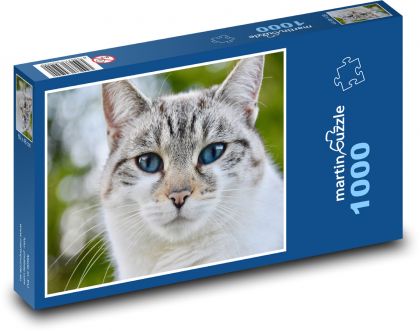 Kot - Puzzle 1000 elementów, rozmiar 60x46 cm