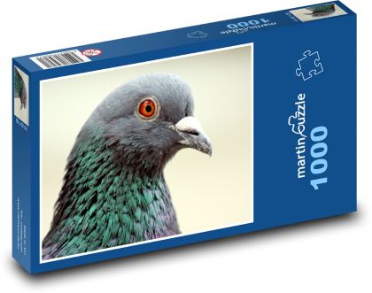 Taube - Vogel - Puzzle - 1000 Teile