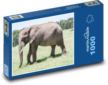 Slon Puzzle 1000 - 60x46 cm