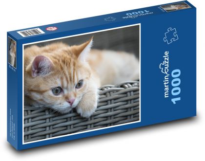 Cat in wicker basket - Puzzle 1000 pieces, size 60x46 cm 