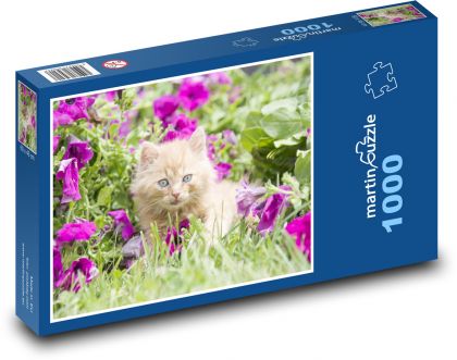 Cat - kitten - Puzzle 1000 pieces, size 60x46 cm 