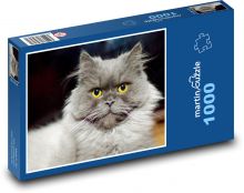 Kočka - kotě Puzzle 1000 dílků - 60 x 46 cm